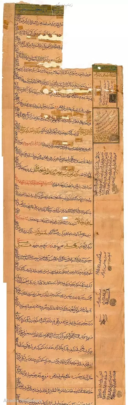 زینب بیگم